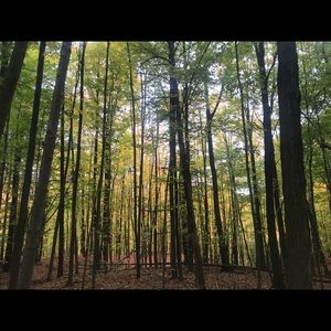 Meet your Posher, Leeanna